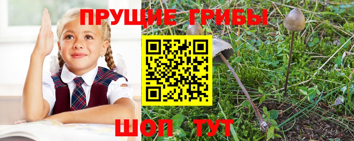 Тутаев  Галлюциногенные грибы мухоморы  Вход с VPN 